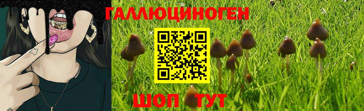 Галлюциногенные грибы MAGIC MUSHROOMS  Вход с VPN  Галлюциногенные грибы MAGIC MUSHROOMS  Михайловск 