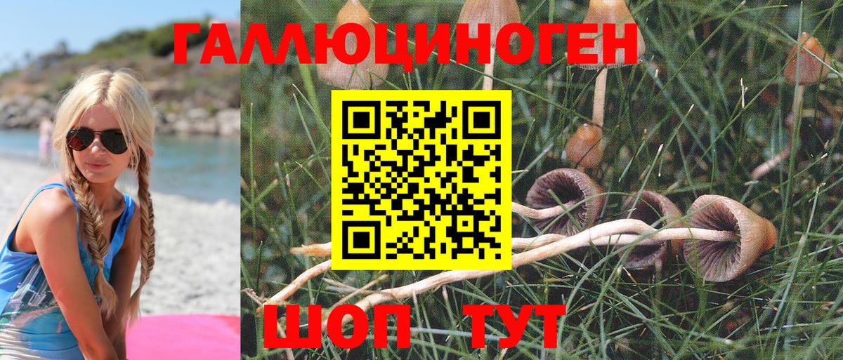 Галлюциногенные грибы Magic Shrooms Михайловск